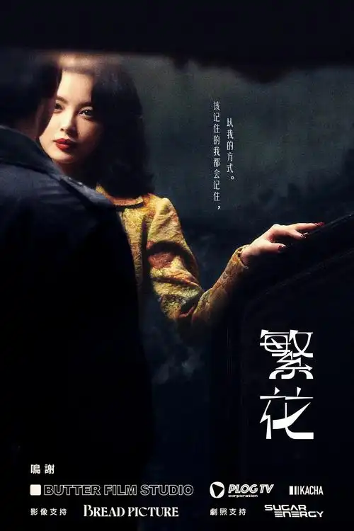 先锋影院 最新电影 城市猎人2025 4K高清版